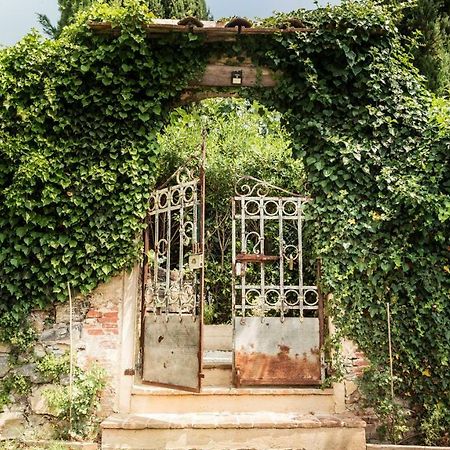 Rustico Dora Villa Camaiore Exterior photo