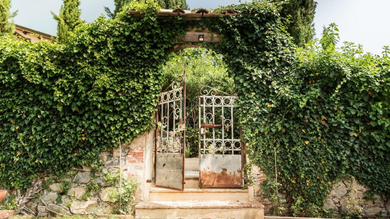 Rustico Dora Villa Camaiore Exterior photo